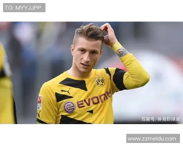 足球明星们热议罗伊斯的球技与职业生涯成就引发广泛关注