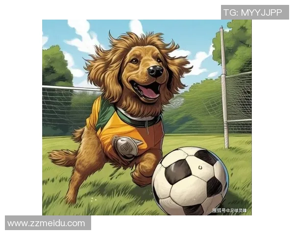 学生头像男足球明星的魅力与梦想在校园中的闪耀与追逐